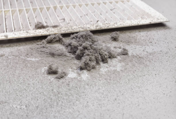 Best Affordable Air Duct Cleaning  in Mendon, UT