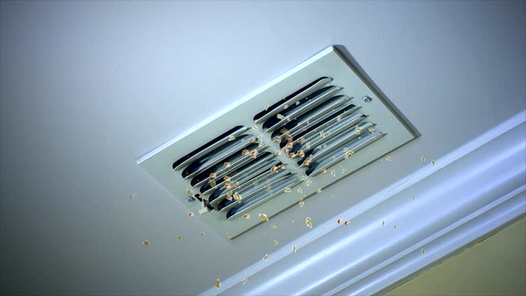 Best Air Duct Cleaning Near Me  in Mendon, UT